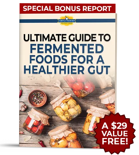 BellyFlush - The Ultimate Guide To Fermented Foods For A Healthier Gut