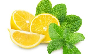 Natural Lemon & Mint